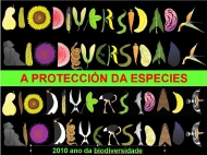 Biodiversidade: a protección das especies